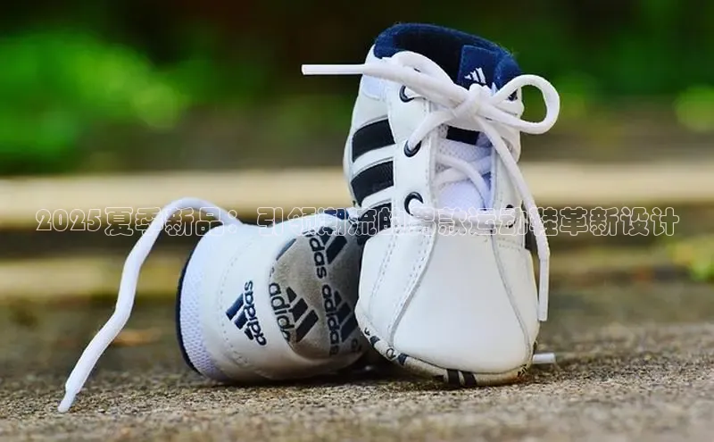 熊猫体育在线直播app